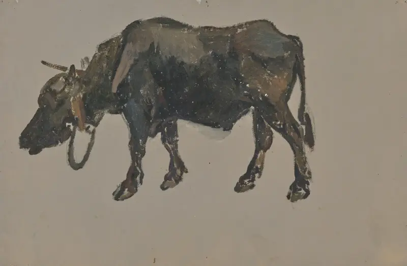 A buffalo. – nr 1 av Johann Nepomuk Rauch