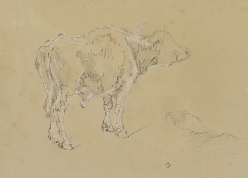 Buvol, 1845, Johann Nepomuk Rauch