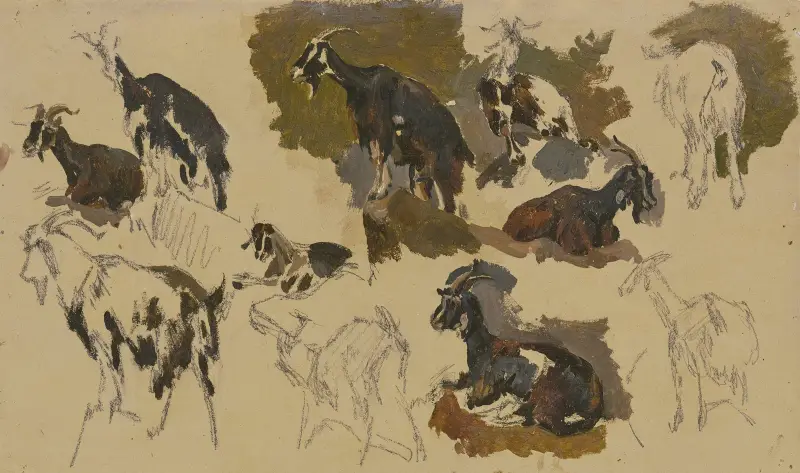 Elf Ziegen von Johann Nepomuk Rauch