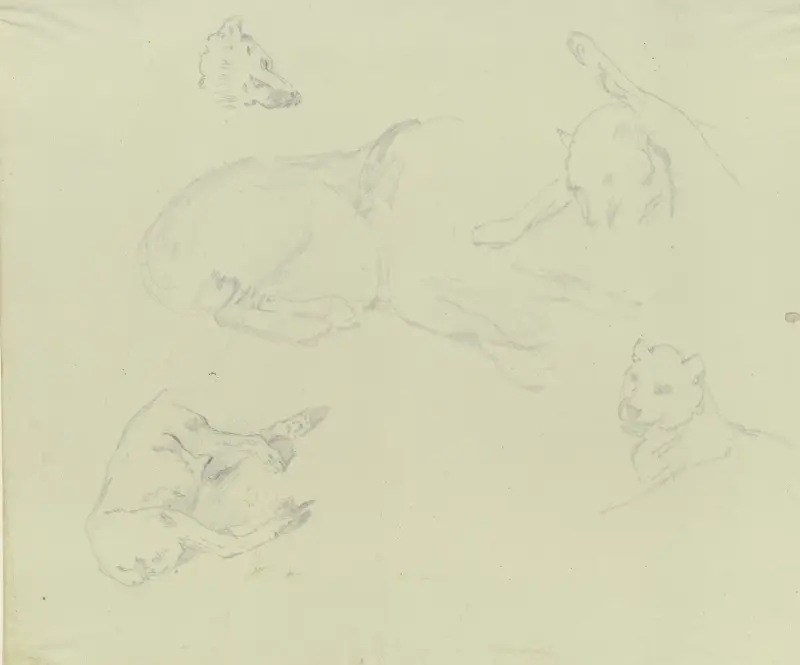 Lions and wolves av Johann Nepomuk Rauch