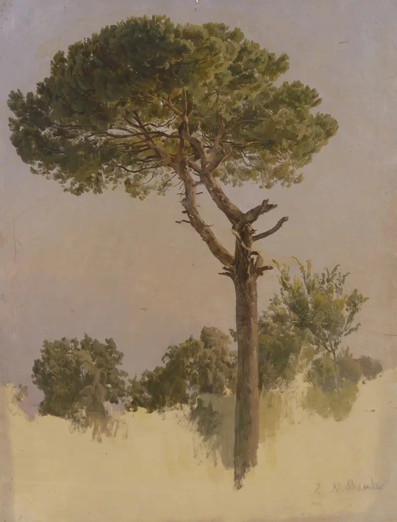 Pinjeträd vid S. Nicola da Tolentino i Rom av Johann Nepomuk Rauch