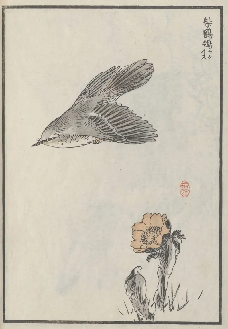 Bairei hyakuchō gafu. Ten, plansch 2 av Kōno Bairei