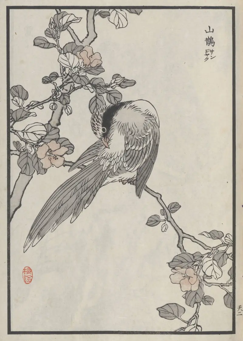 Bairei hyakuchō gafu. Ten, plansch 3 av Kōno Bairei