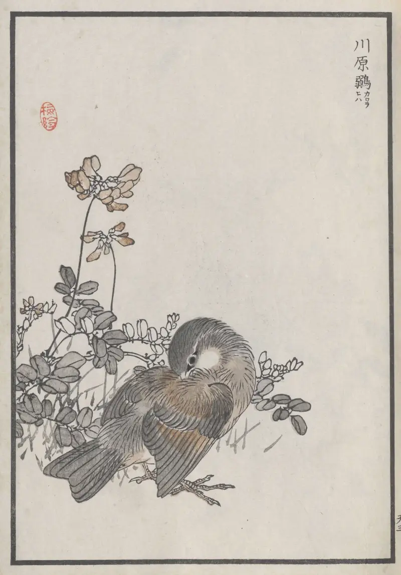 Bairei hyakuchō gafu. Ten Pl.05 von Kōno Bairei