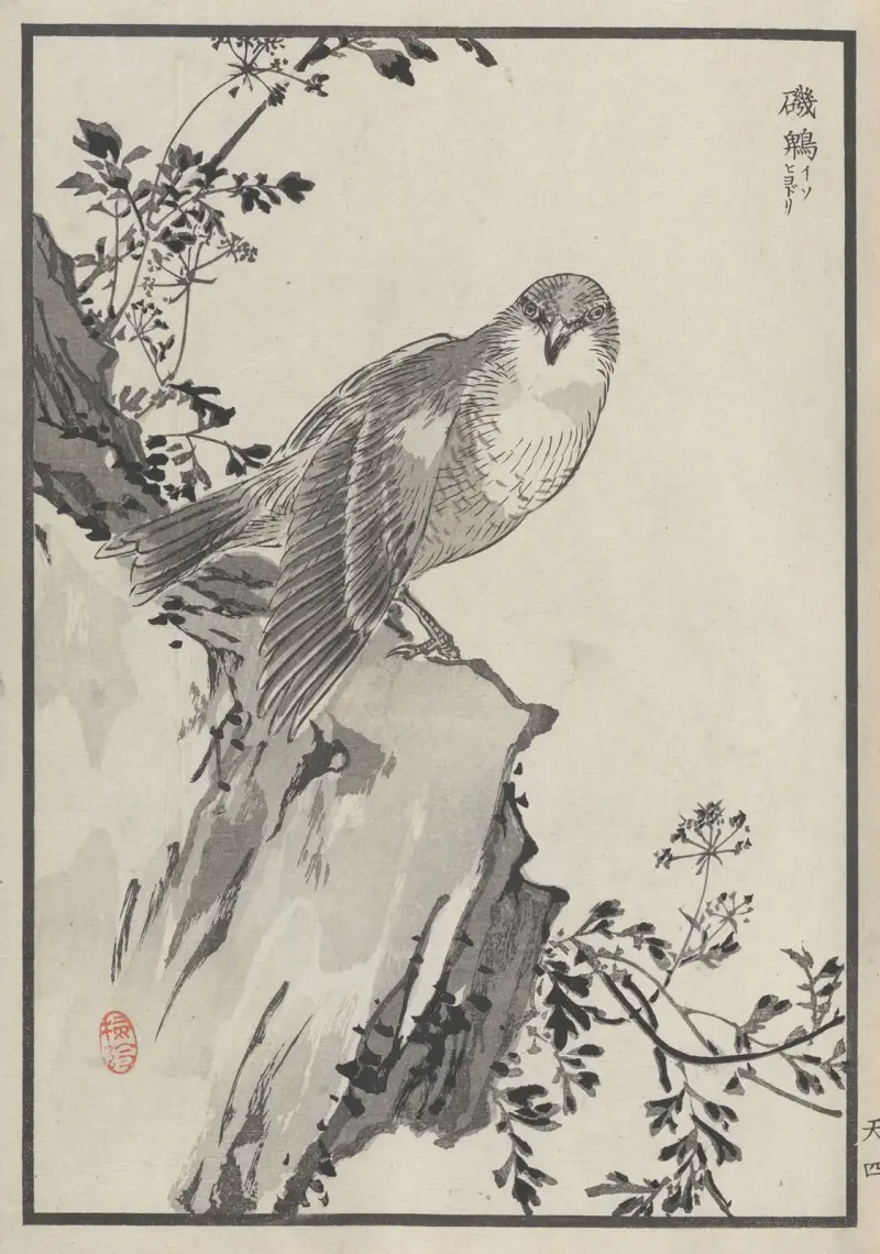 Bairei hyakuchō gafu. Ten Pl.07 von Kōno Bairei