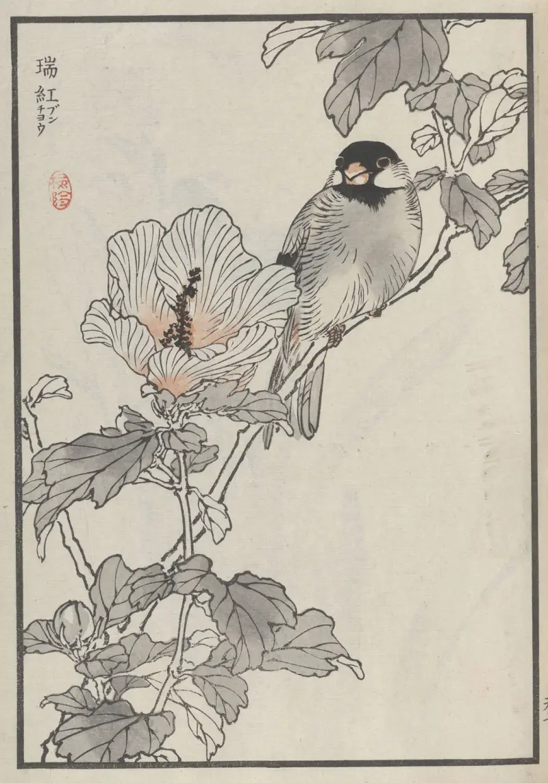 Bairei hyakuchō gafu. Himlen, plansch 13 av Kōno Bairei