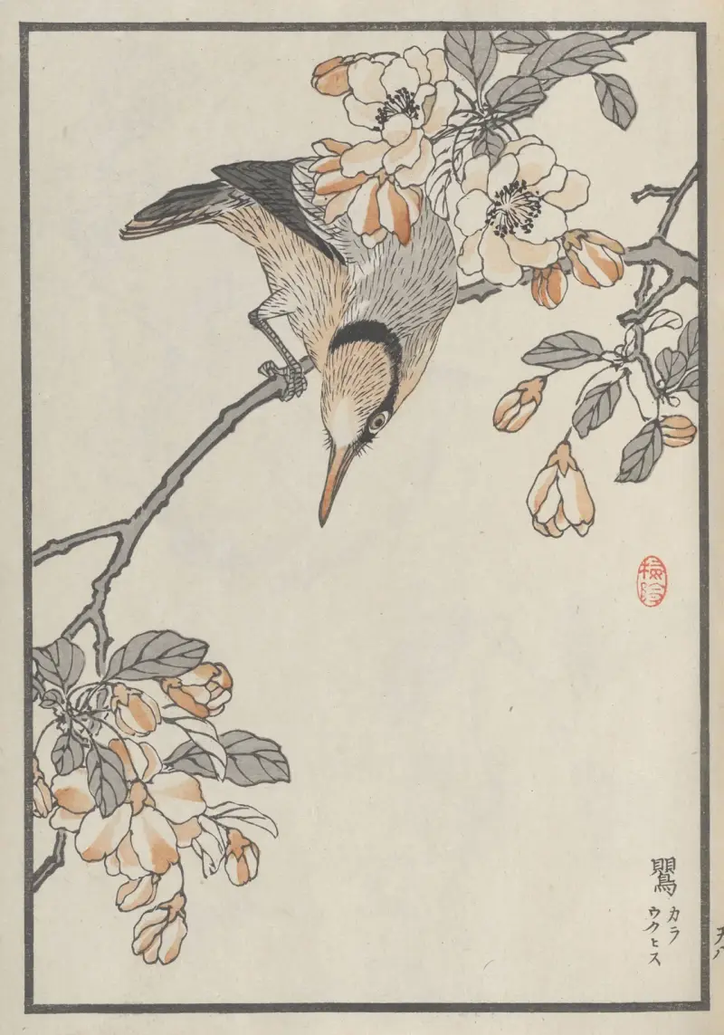 Bairei hyakuchō gafu. Ten Pl.15, Kōno Bairei