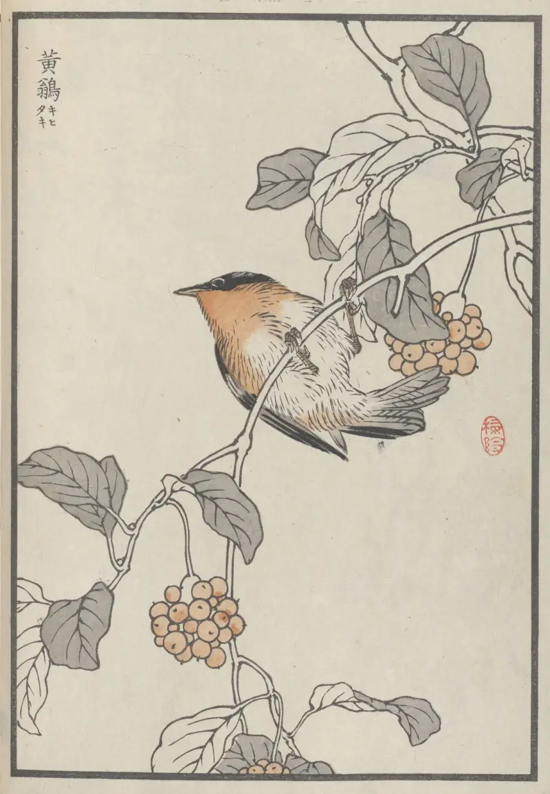 Bairei hyakuchō gafu. Ten Pl.16 von Kōno Bairei