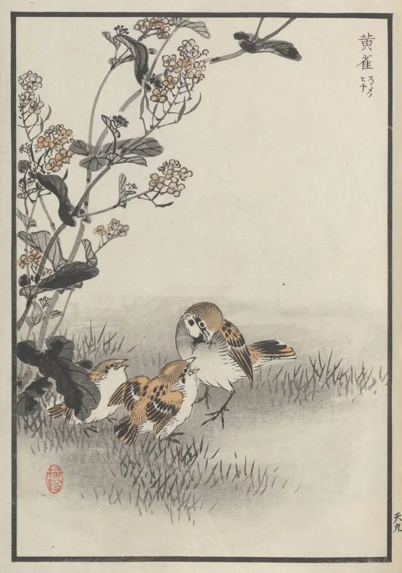 Bairei hyakuchō gafu. Ten Pl.17 von Kōno Bairei