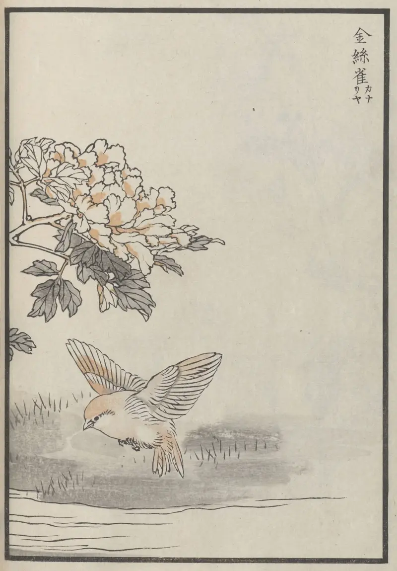 Bairei hyakuchō gafu. Ten Pl.18 von Kōno Bairei