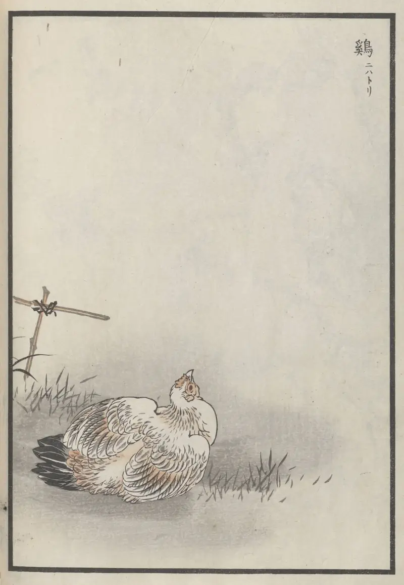 Bairei hyakuchō gafu. Ten Pl.20 von Kōno Bairei