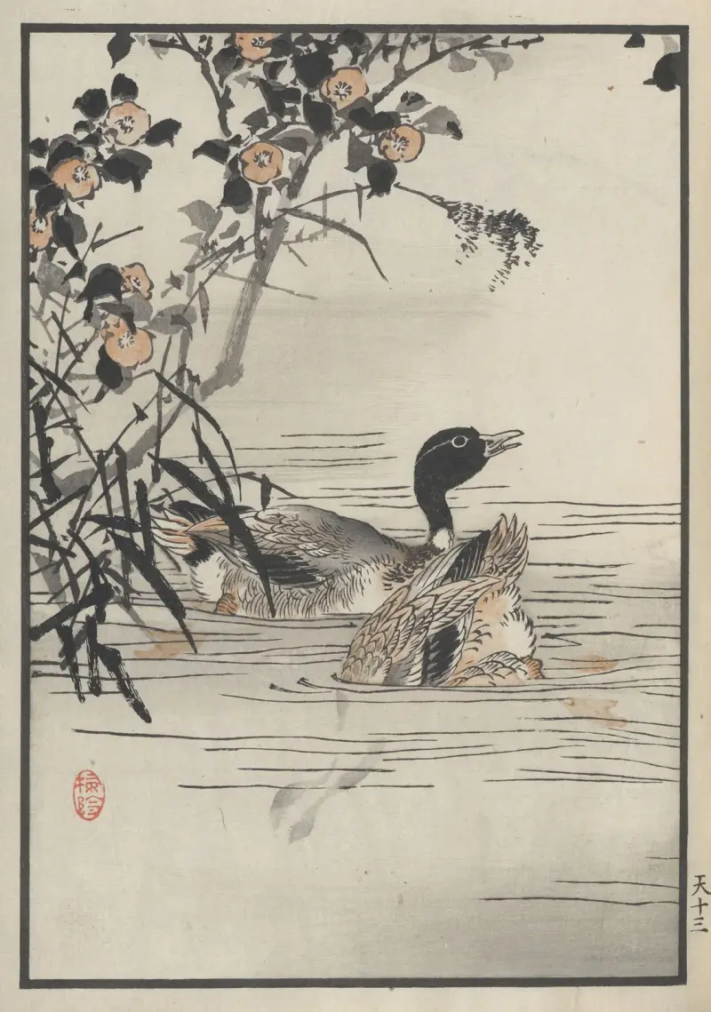 Bairei hyakuchō gafu. Ten Pl.25 von Kōno Bairei