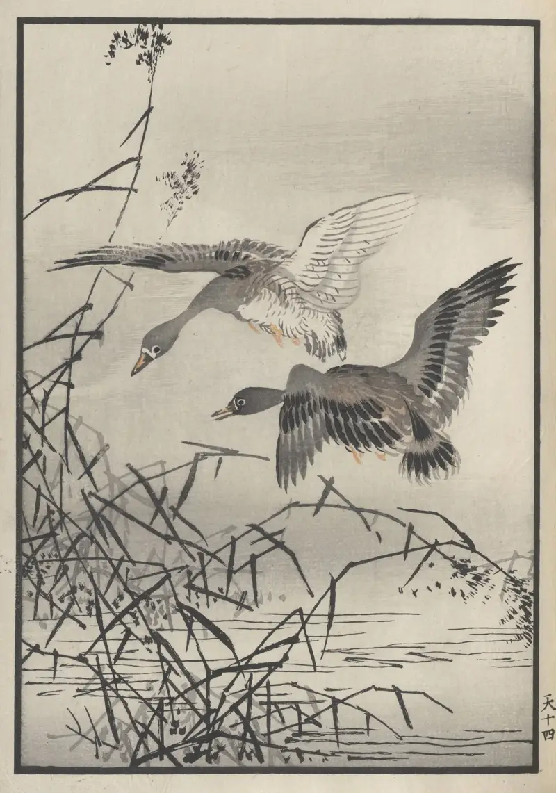 Bairei hyakuchō gafu. Himlen, plansch 27 av Kōno Bairei