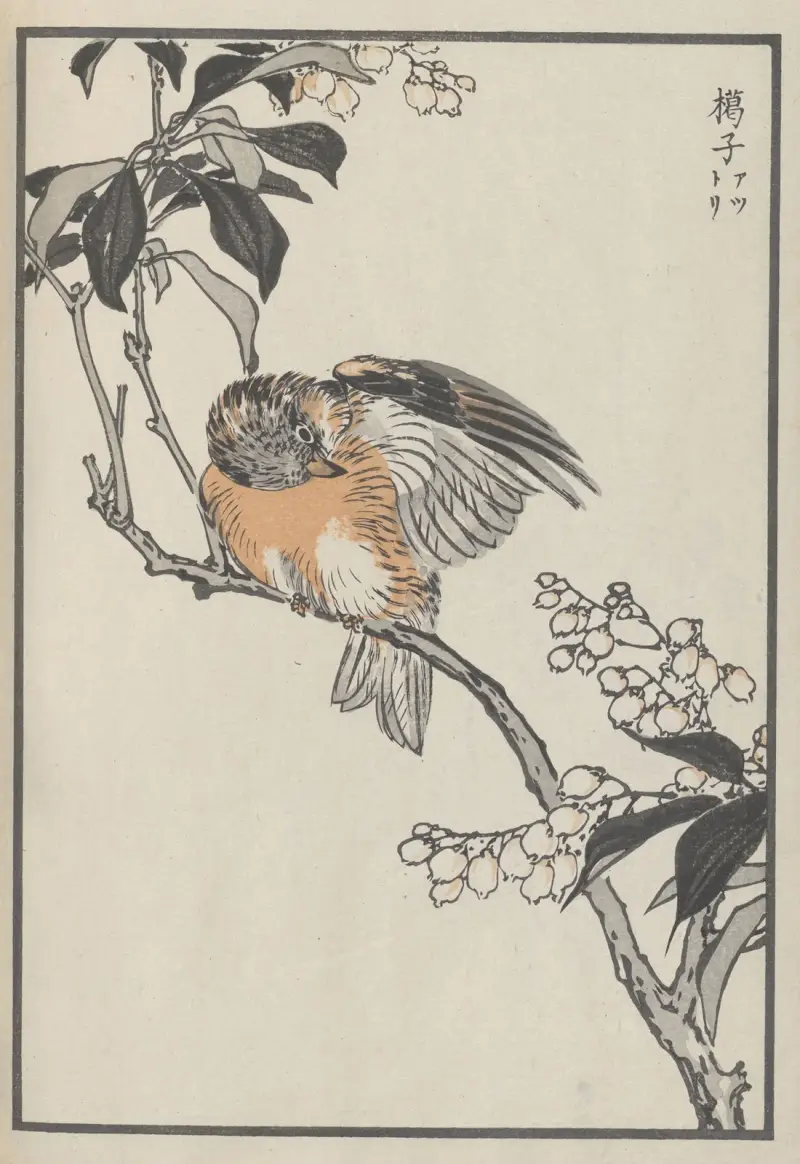Bairei hyakuchō gafu. Himlen, plansch 30 av Kōno Bairei