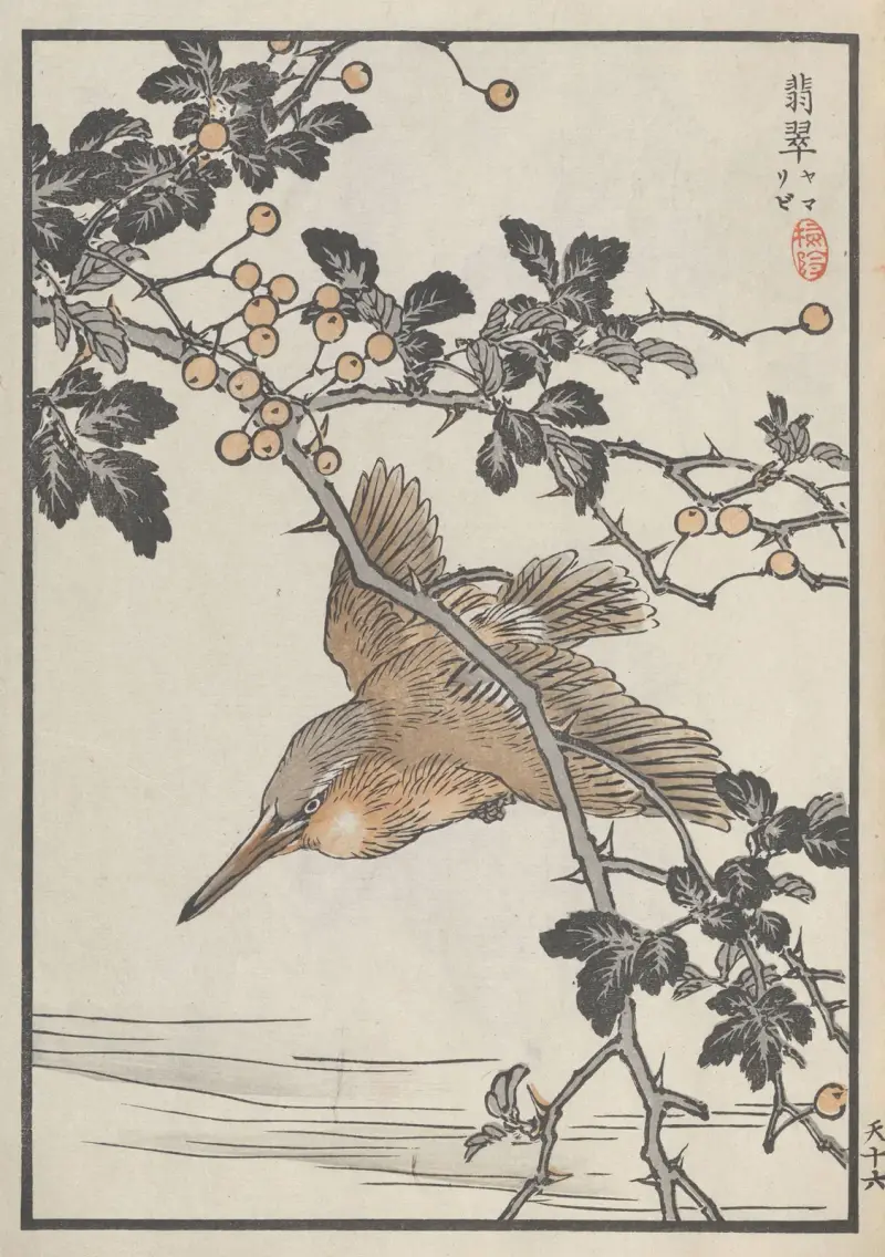 Bairei hyakuchō gafu. Himlen, plansch 31 av Kōno Bairei