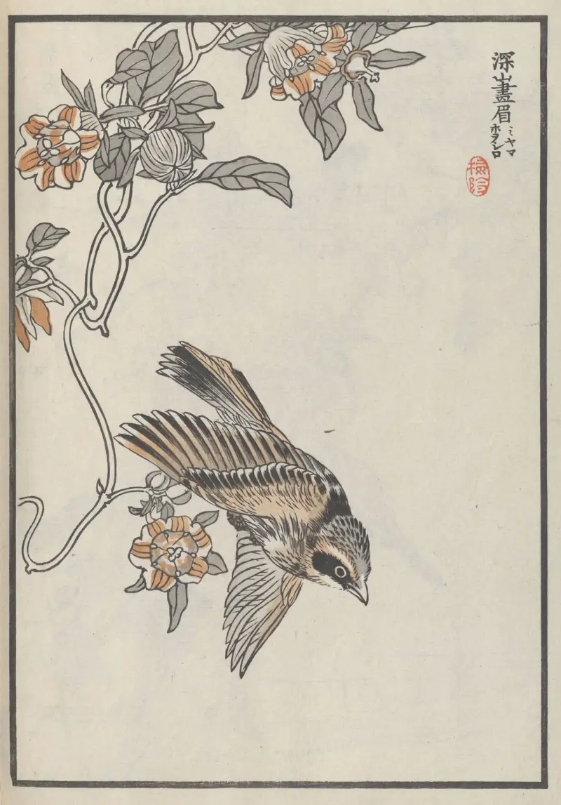 Bairei hyakuchō gafu. Himlen, plansch 32 av Kōno Bairei
