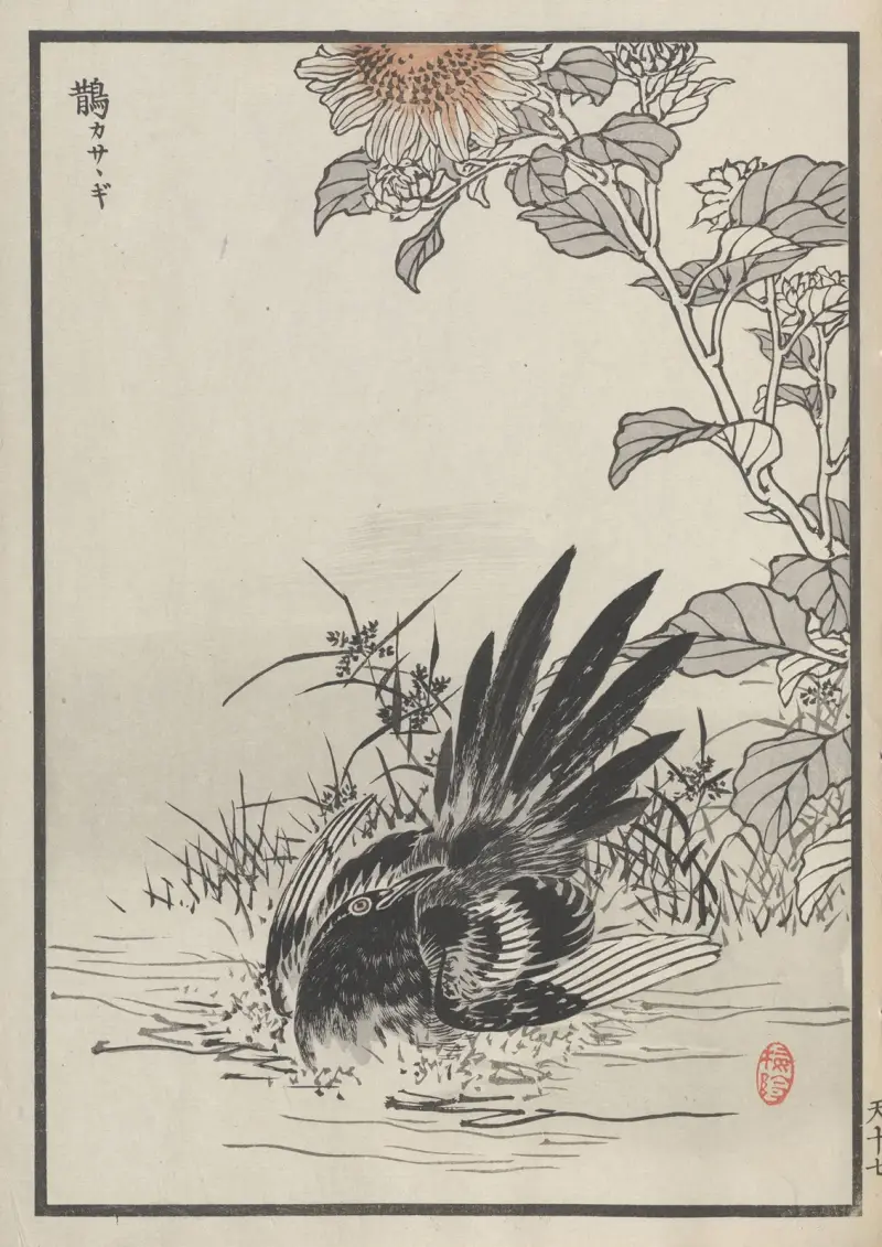 Bairei hyakuchō gafu. Himlen, plansch 33 av Kōno Bairei