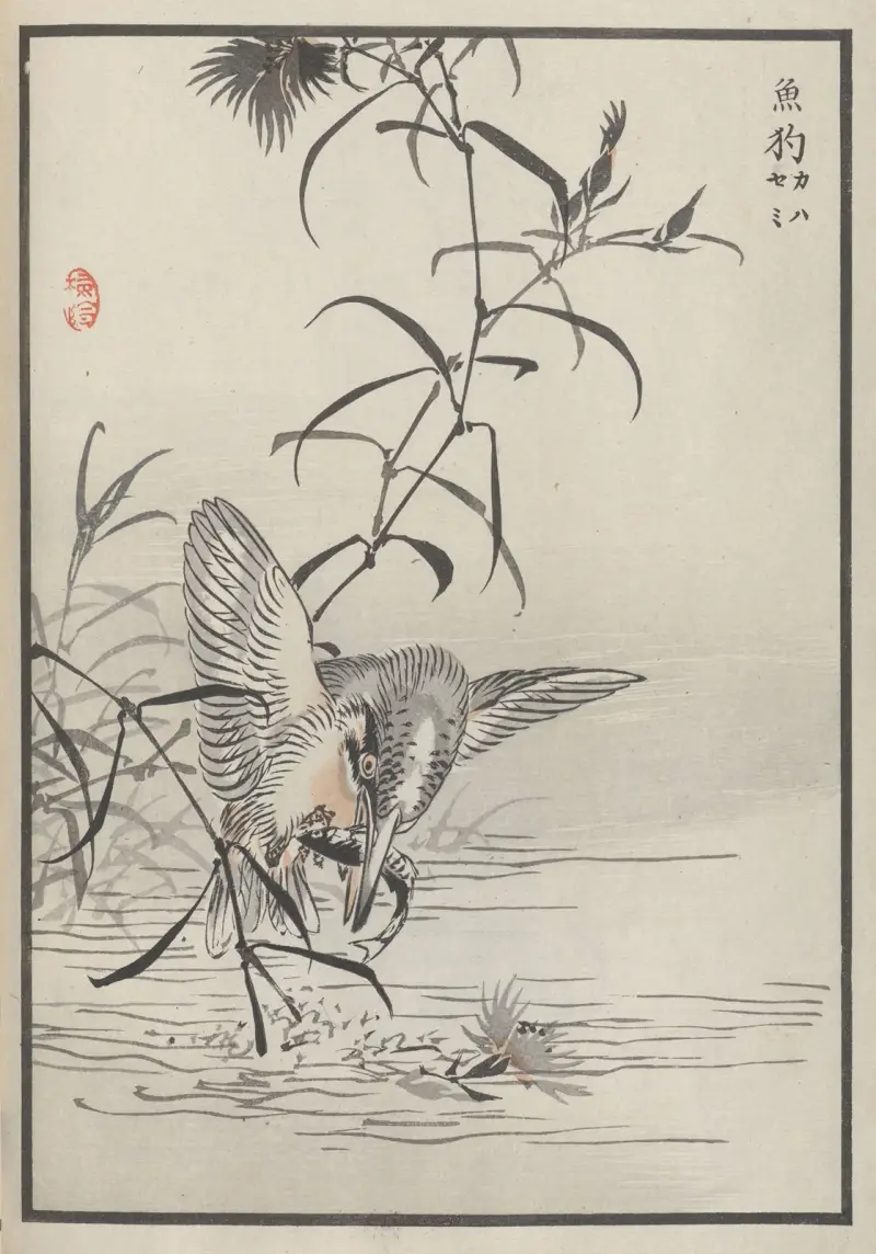 Bairei hyakuchō gafu. Himlen, plansch 34 av Kōno Bairei