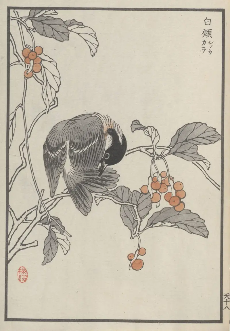 Bairei hyakuchō gafu. Himlen, plansch 35 av Kōno Bairei