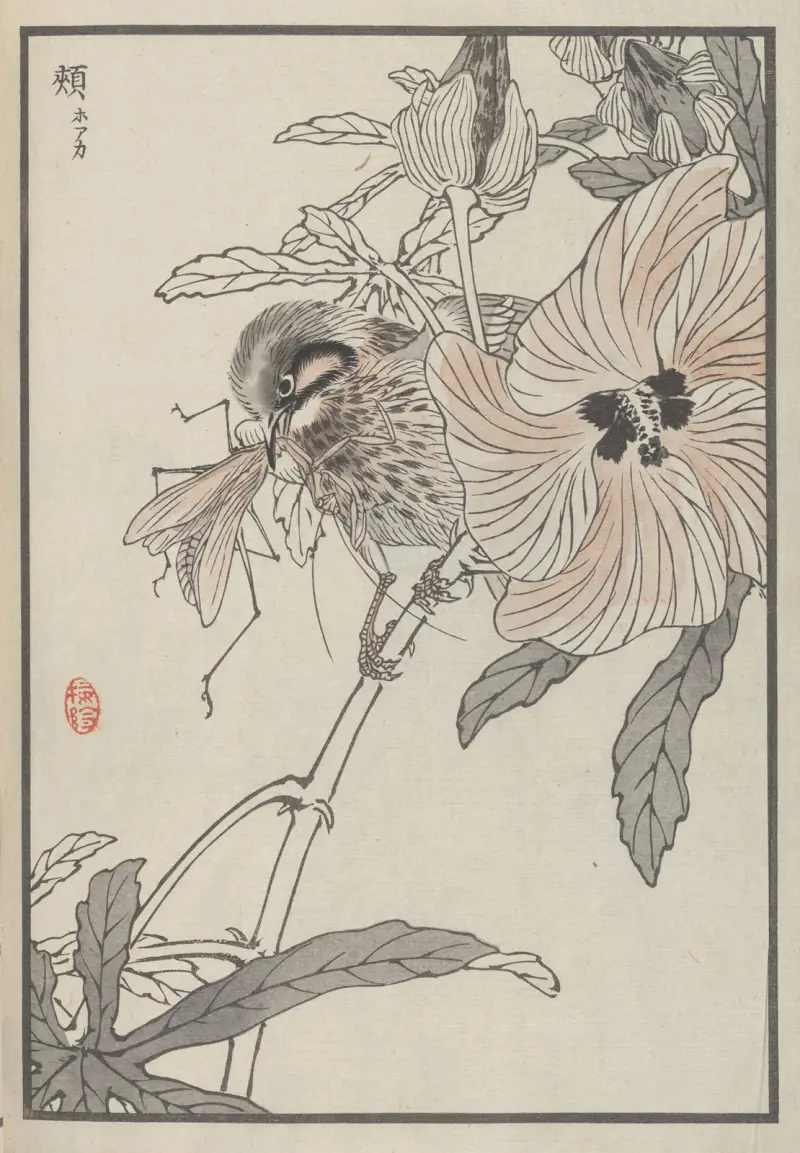 Bairei hyakuchō gafu. Himlen, plansch 36 av Kōno Bairei