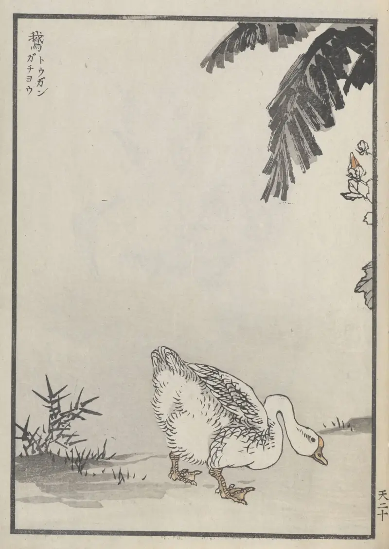 Bairei hyakuchō gafu. Himlen, plansch 39 av Kōno Bairei