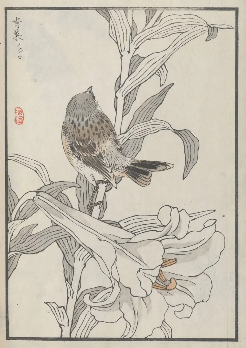 Bairei hyakuchō gafu. Himlen, plansch 40 av Kōno Bairei