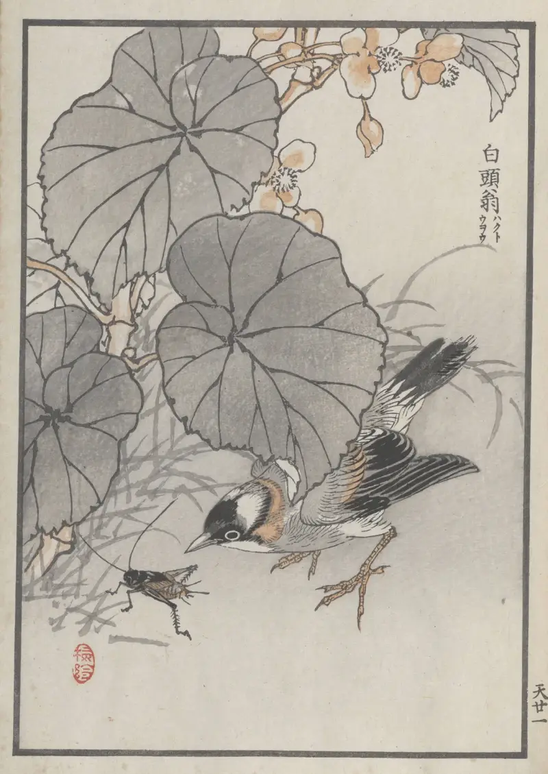Bairei hyakuchō gafu. Himlen, plansch 41 av Kōno Bairei