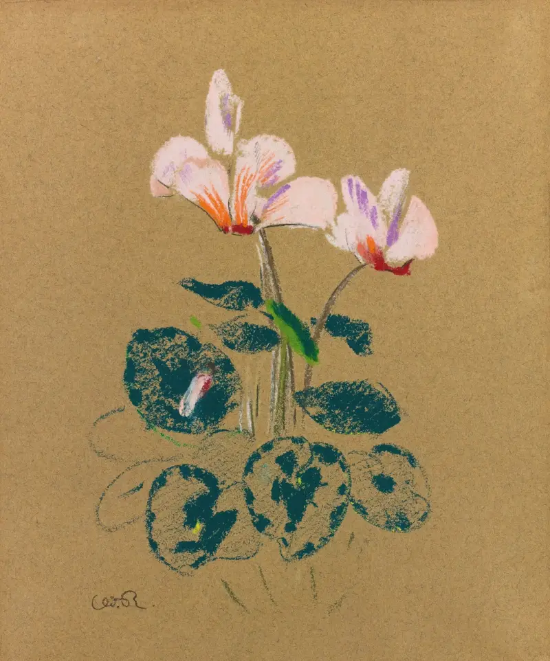Cyclamen av Odilon Redon