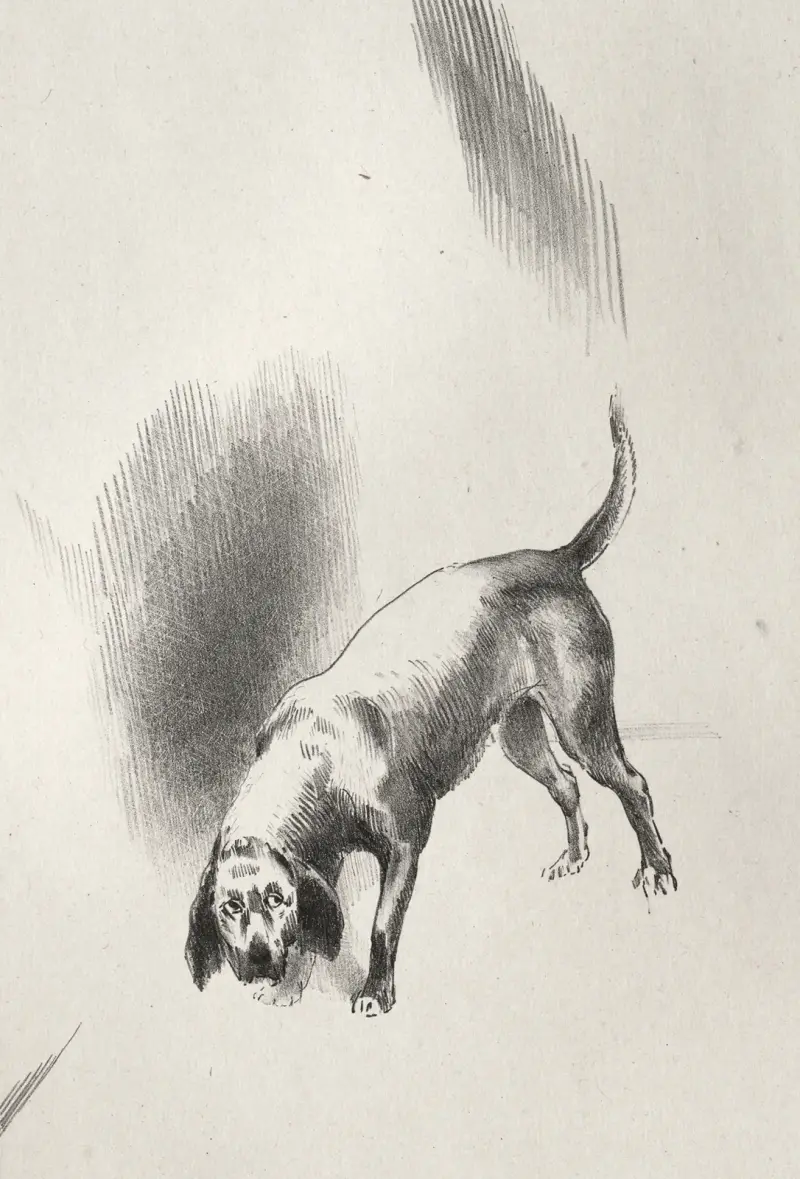 Das Spukhaus: Er hielt seinen Blick mit einem so seltsamen Ausdruck auf mich gerichtet von Odilon Redon