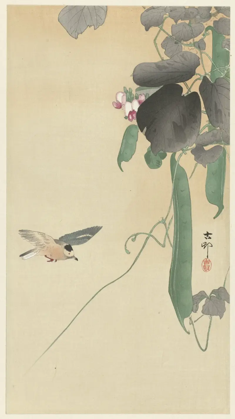 Fågel vid blommande bönplanta av Ohara Koson
