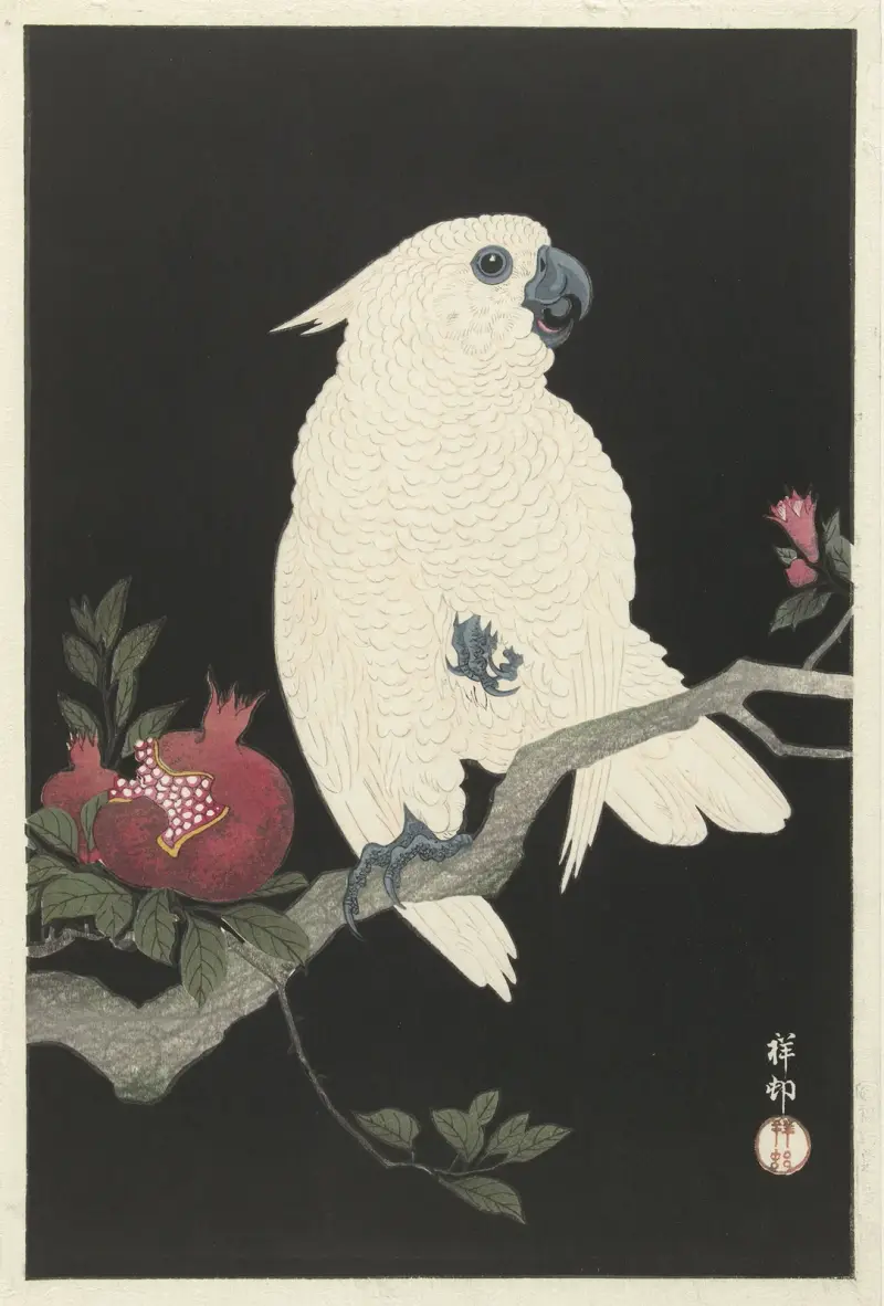 Kakadu und Granatapfel von Ohara Koson