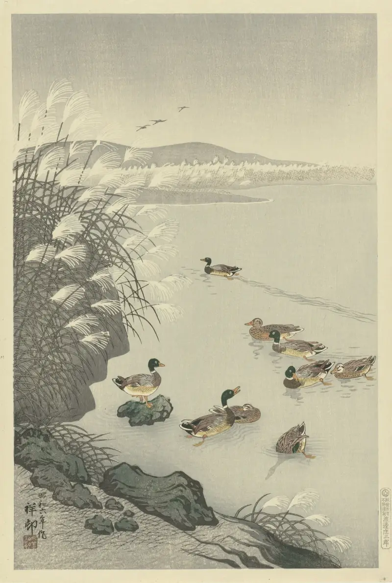 Kaczki na wodzie, Ohara Koson