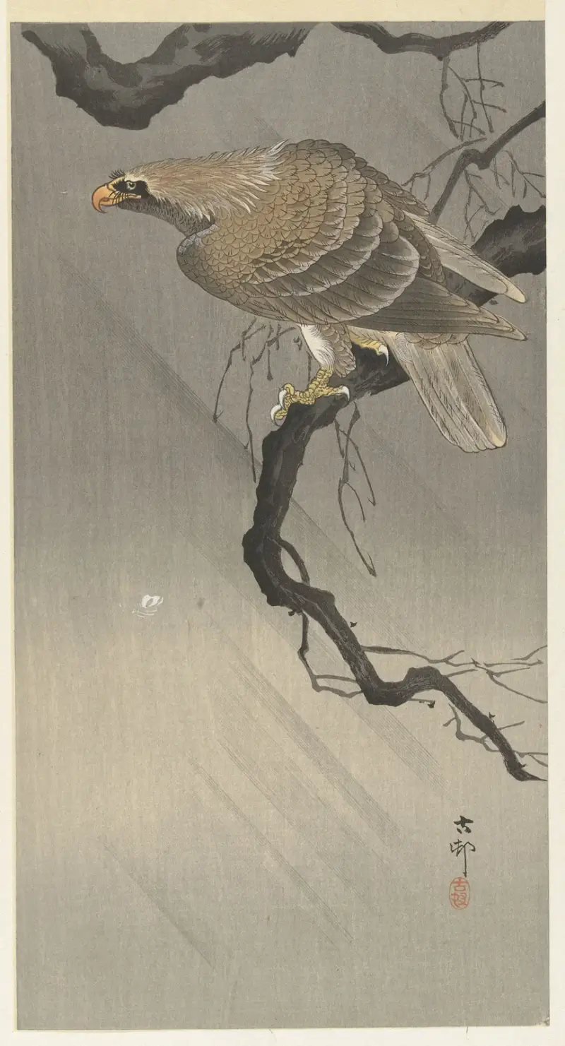Eagle on branch av Ohara Koson