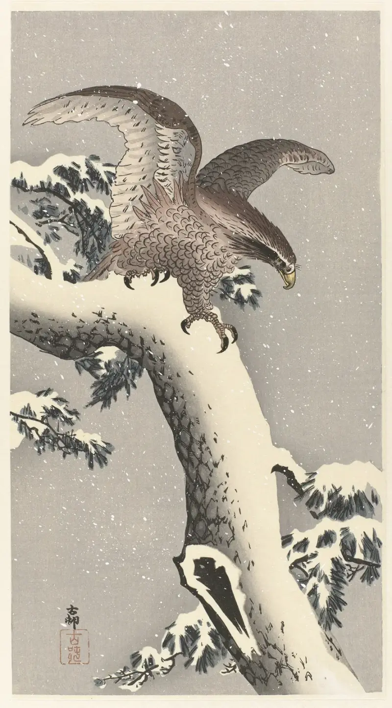 Eagle on snowy pine tree av Ohara Koson