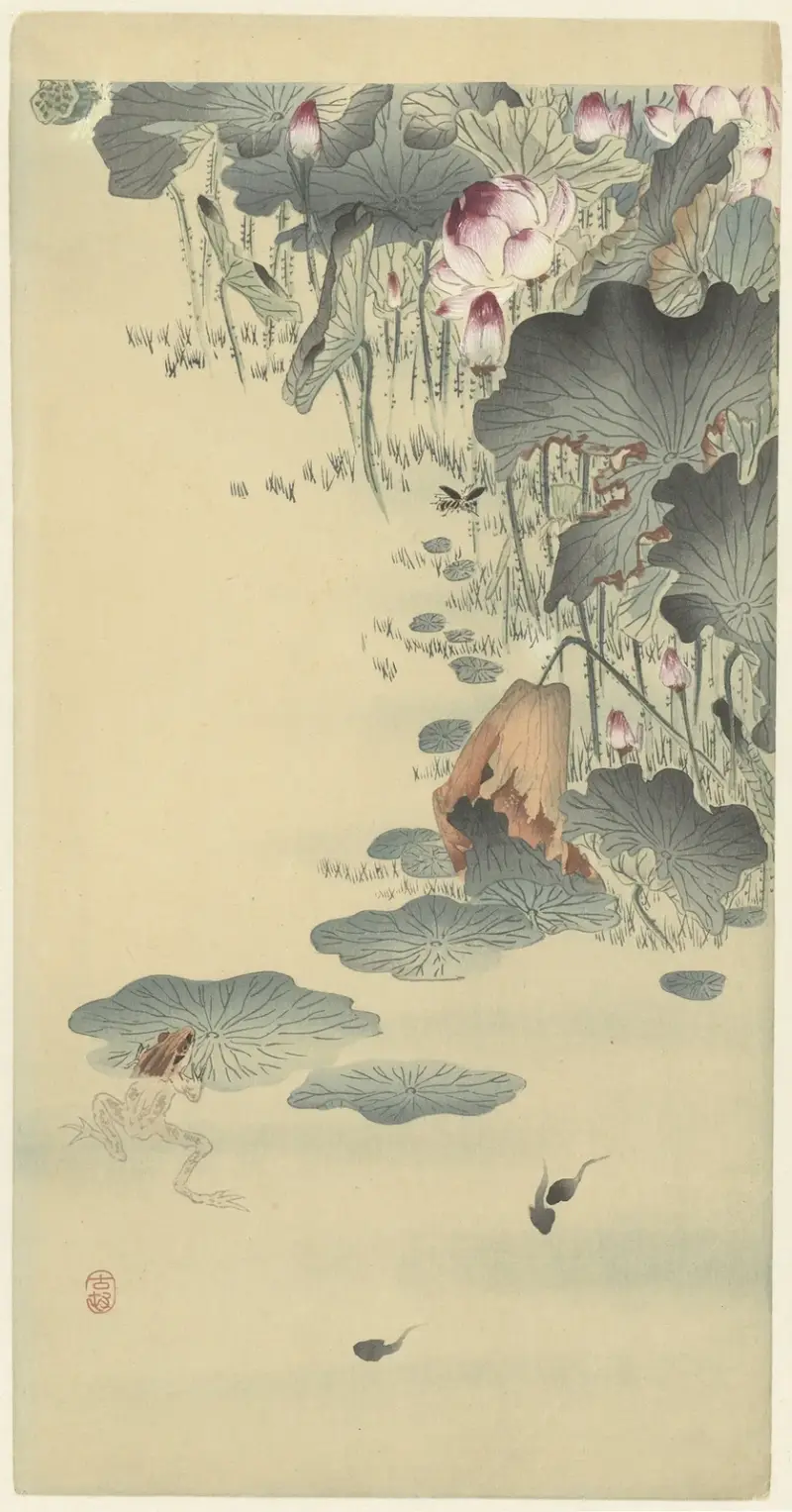 Frog and tadpoles av Ohara Koson