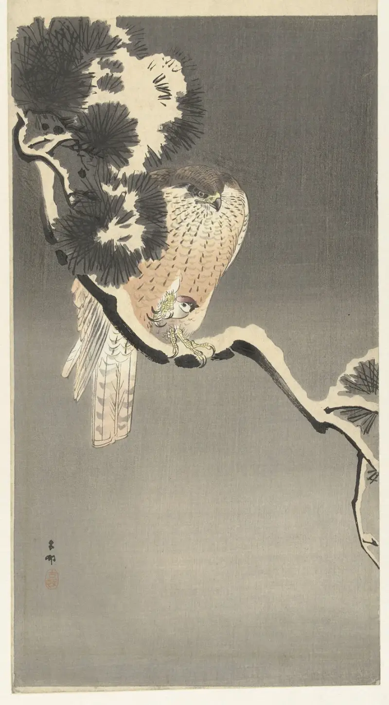 Habicht mit Spatz von Ohara Koson