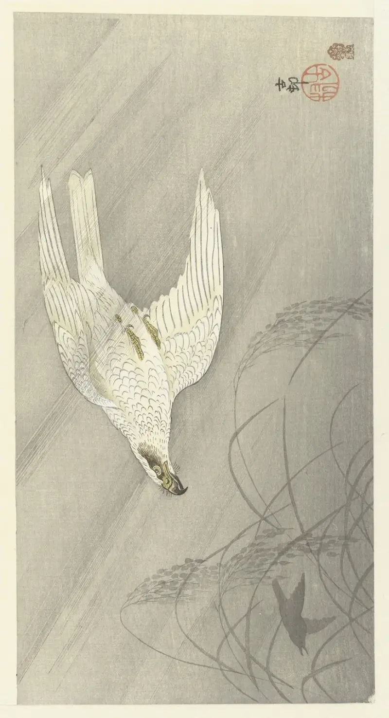 Jagender Habicht von Ohara Koson