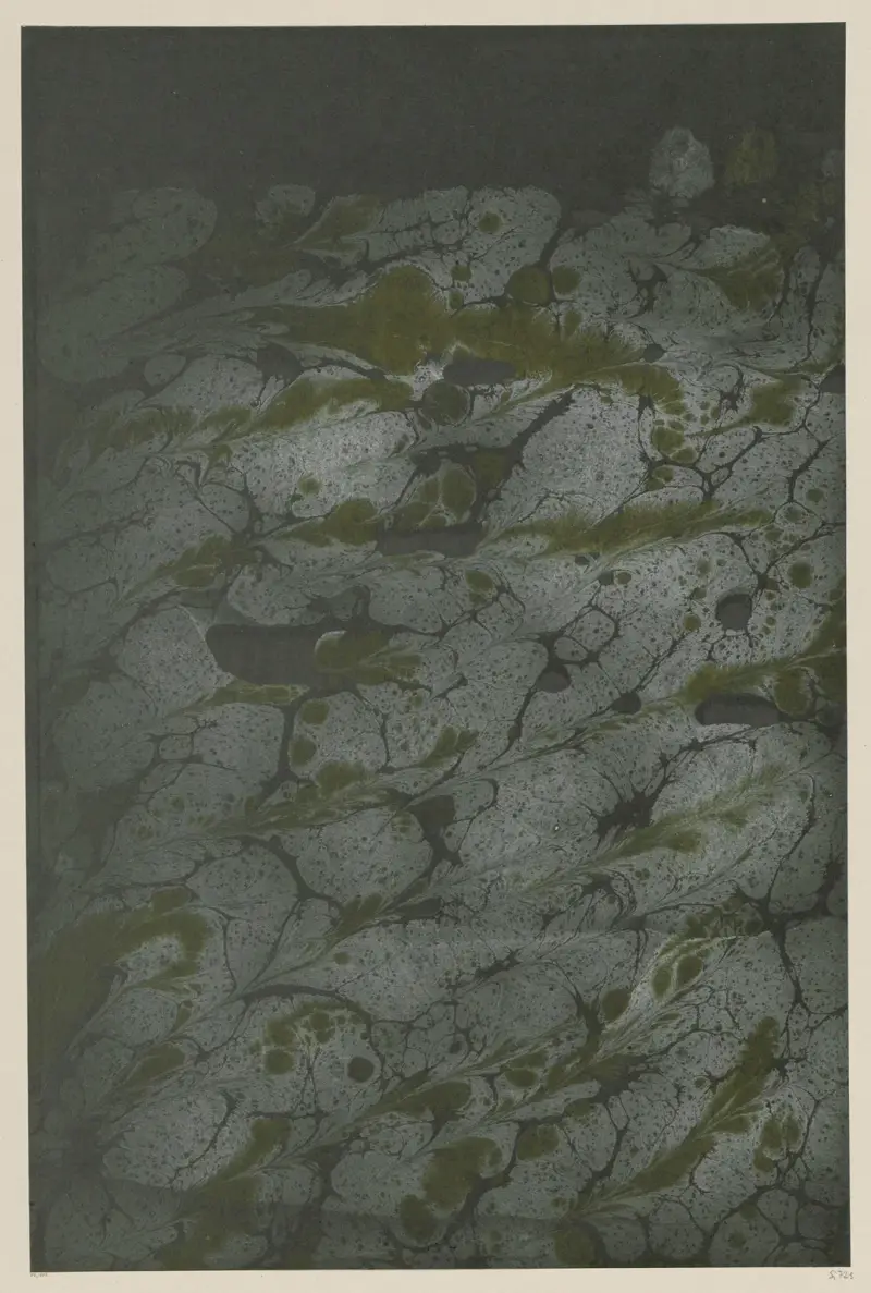 Papier marmurkowy, 1894 – Nr. 12, Otto Eckmann