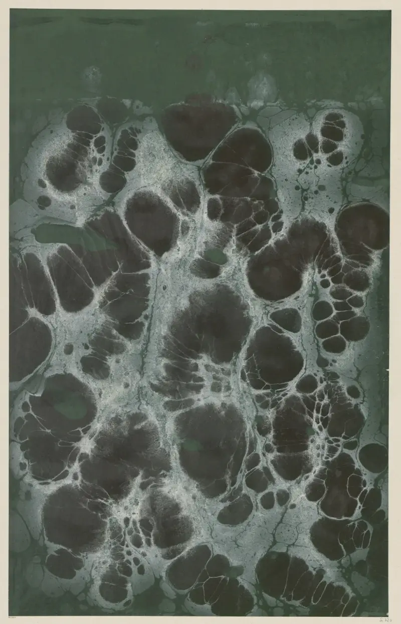 Papier marmurkowy, 1894 – Nr. 16, Otto Eckmann