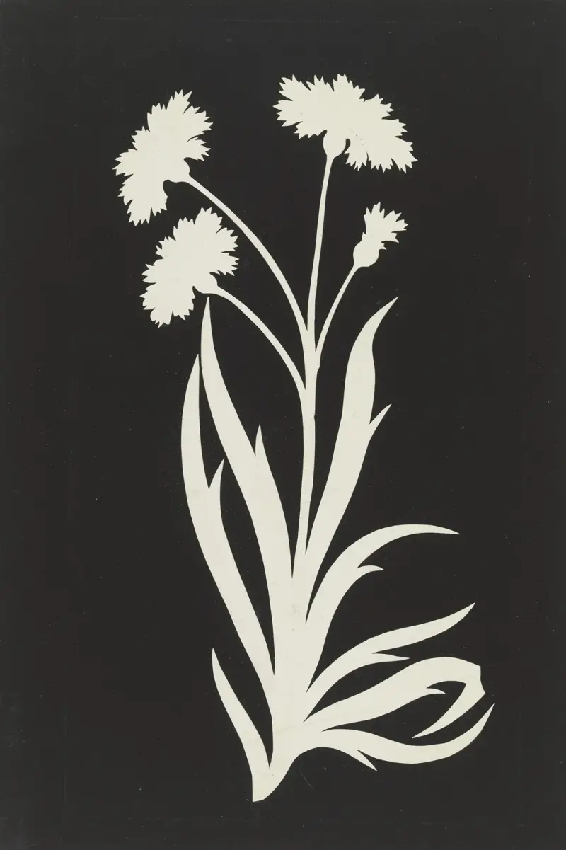 Kornblume von Philipp Otto Runge