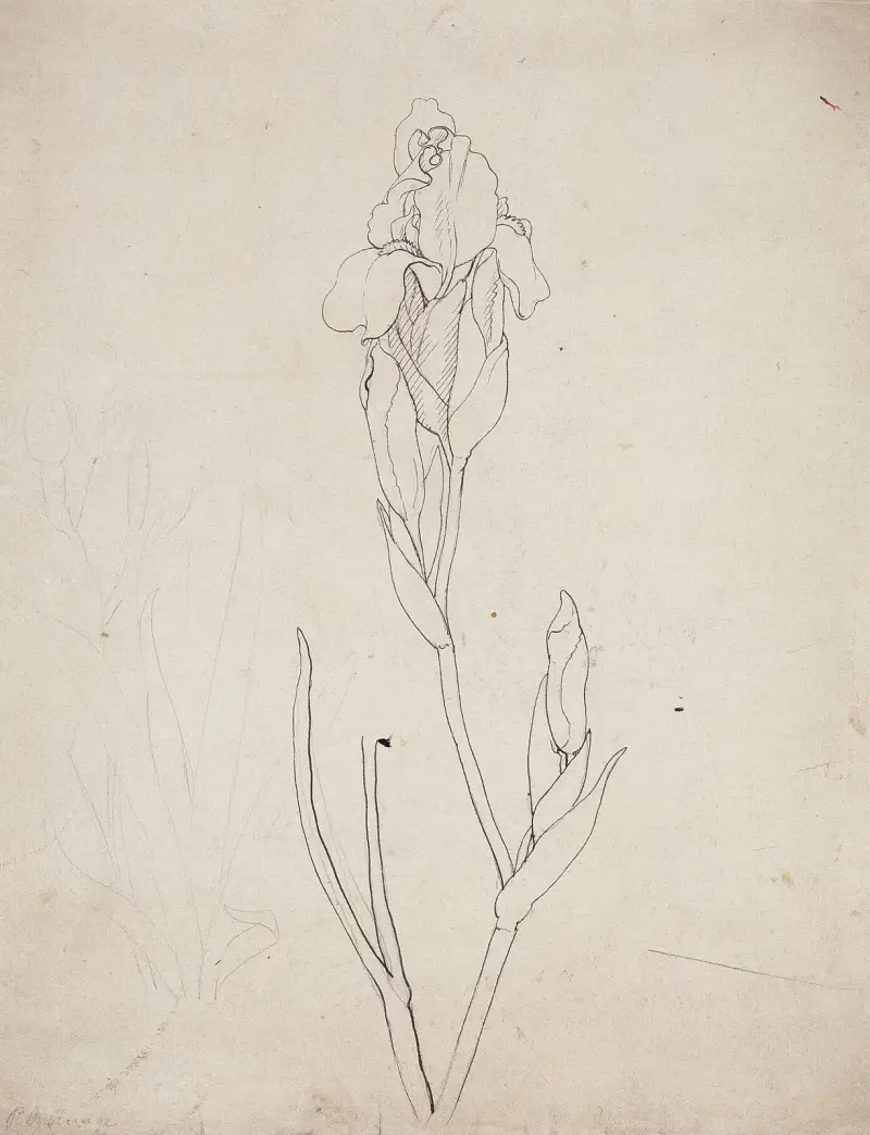 Iris av Philipp Otto Runge