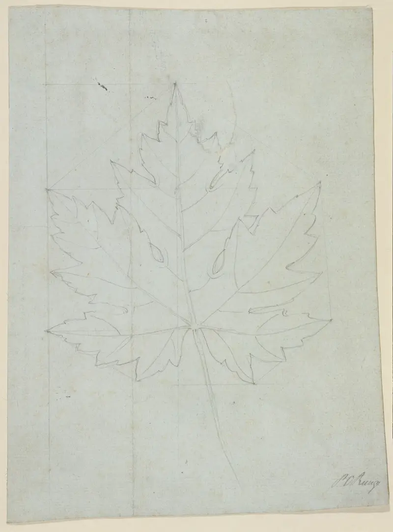 Maple leaf av Philipp Otto Runge