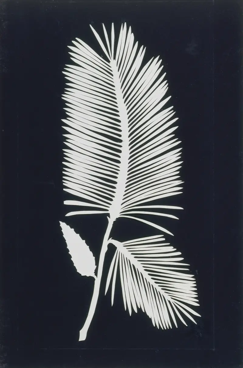 Palmwedel von Philipp Otto Runge