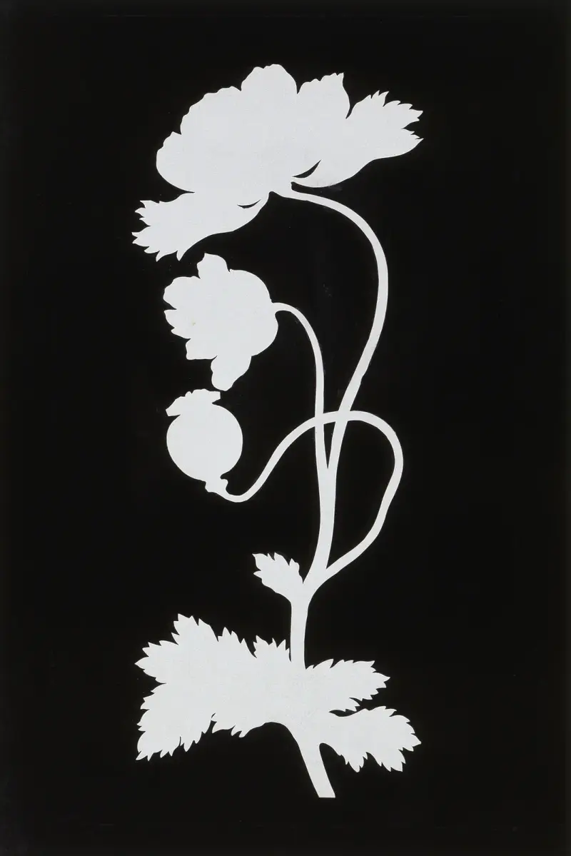 Poppy av Philipp Otto Runge
