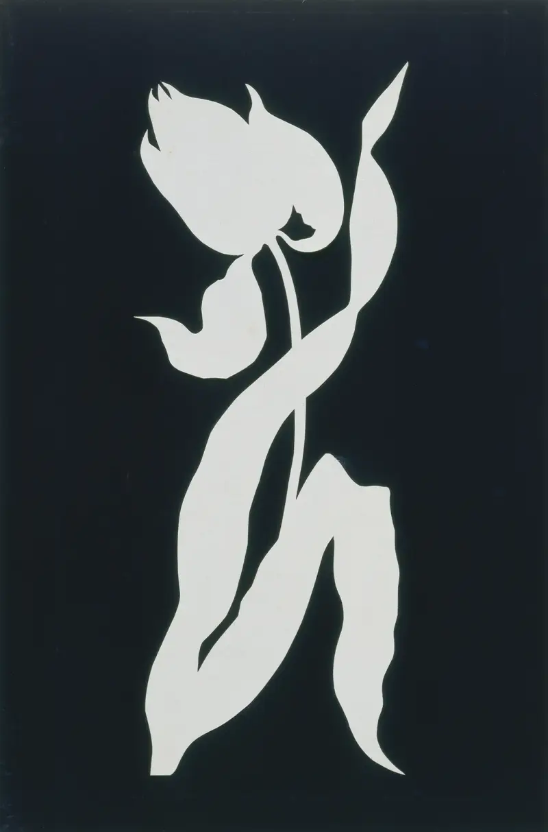 Tulpe von Philipp Otto Runge