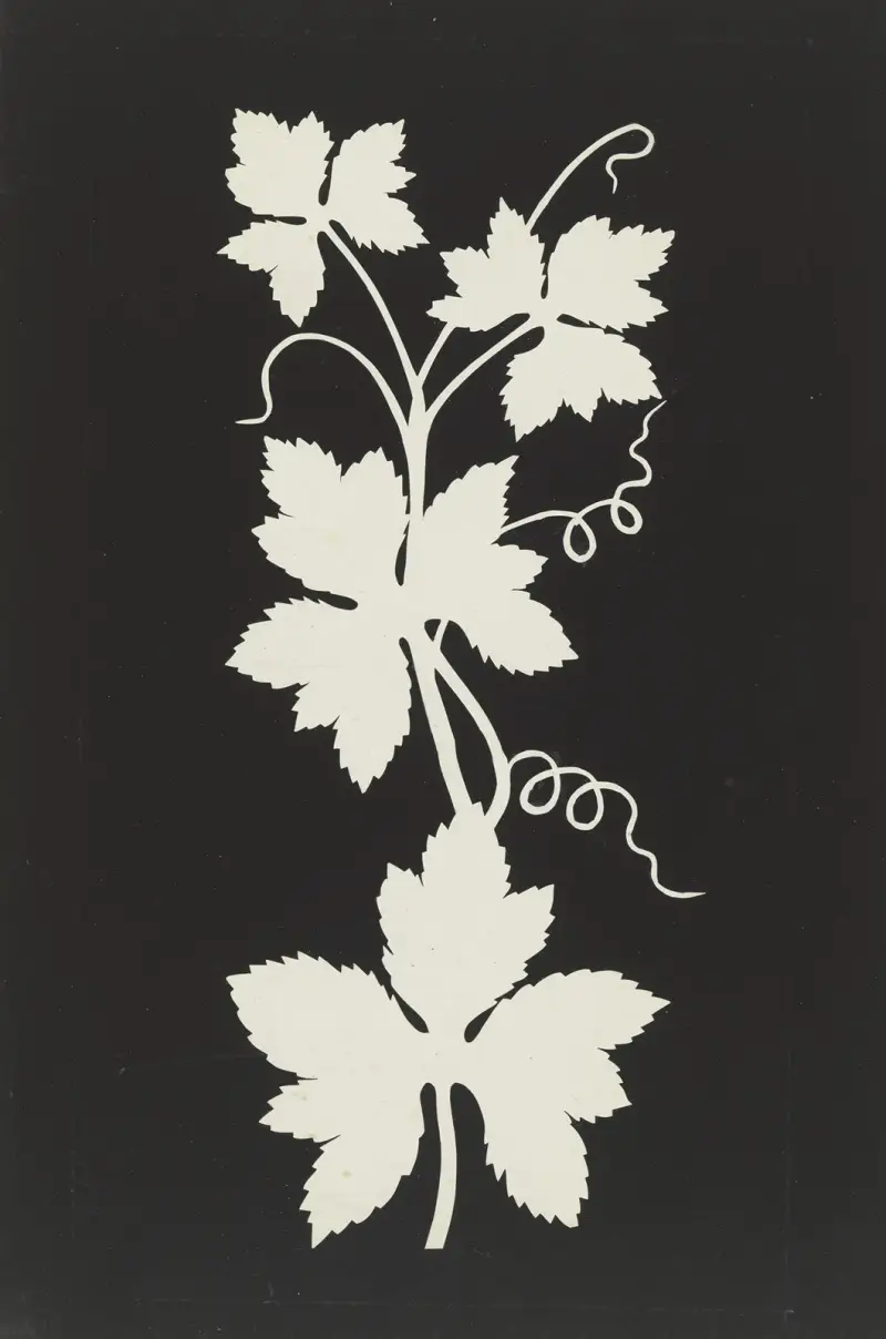 Vine leaves av Philipp Otto Runge