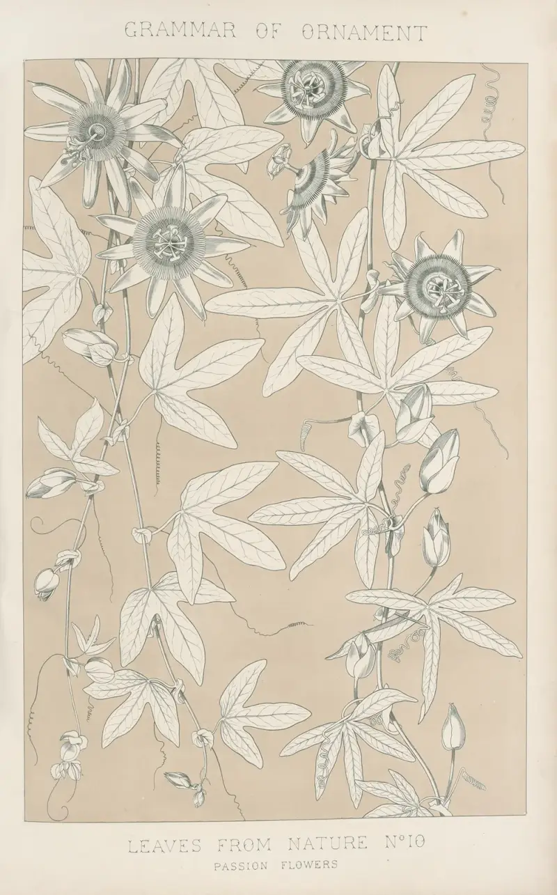 Leaves from Nature No. 10 av Owen Jones