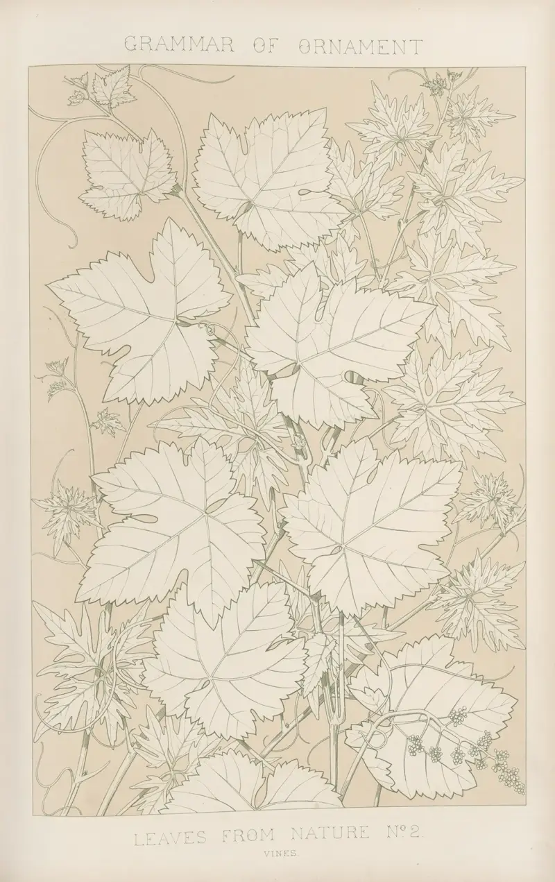 Leaves from Nature No. 2 av Owen Jones