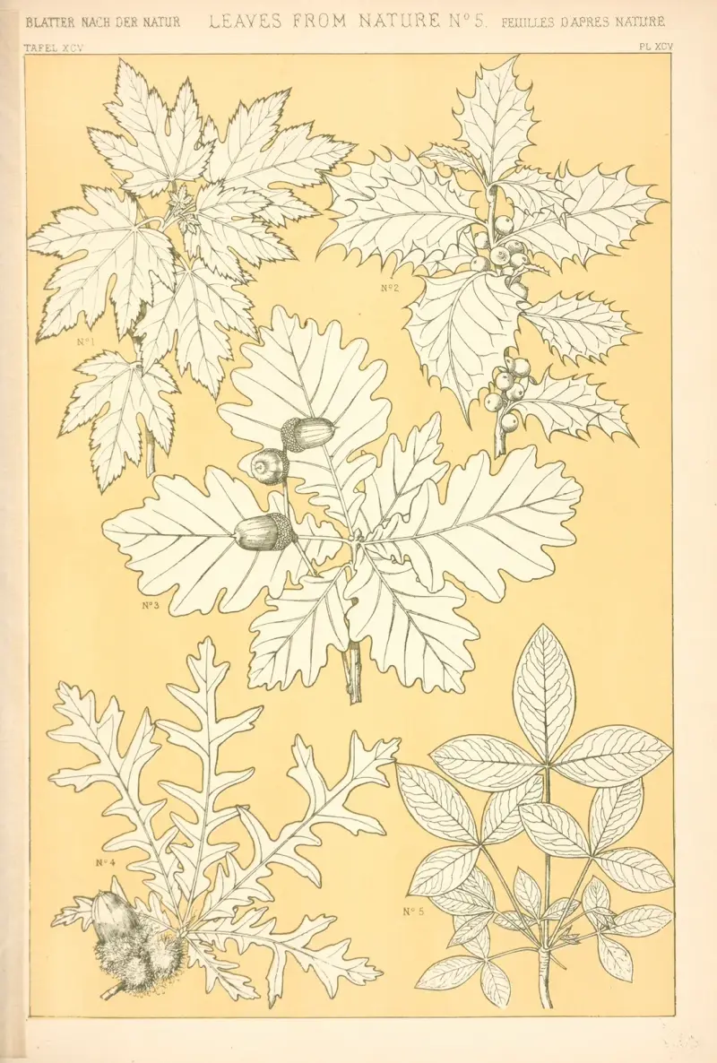 Leaves from Nature No. 5 – nr 1 av Owen Jones