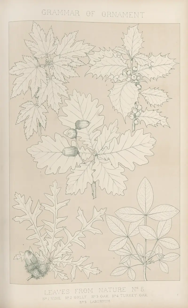 Leaves from Nature No. 5, 1856 av Owen Jones